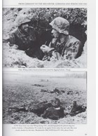 Sunwheels and Siegrunen - Wiking, Nordland, Nederland and the Germanic Waffen-SS in Photographs - Volume 1